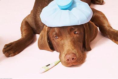 《健身拳击2》推出歌曲包DLC 包含三首经典动漫歌曲